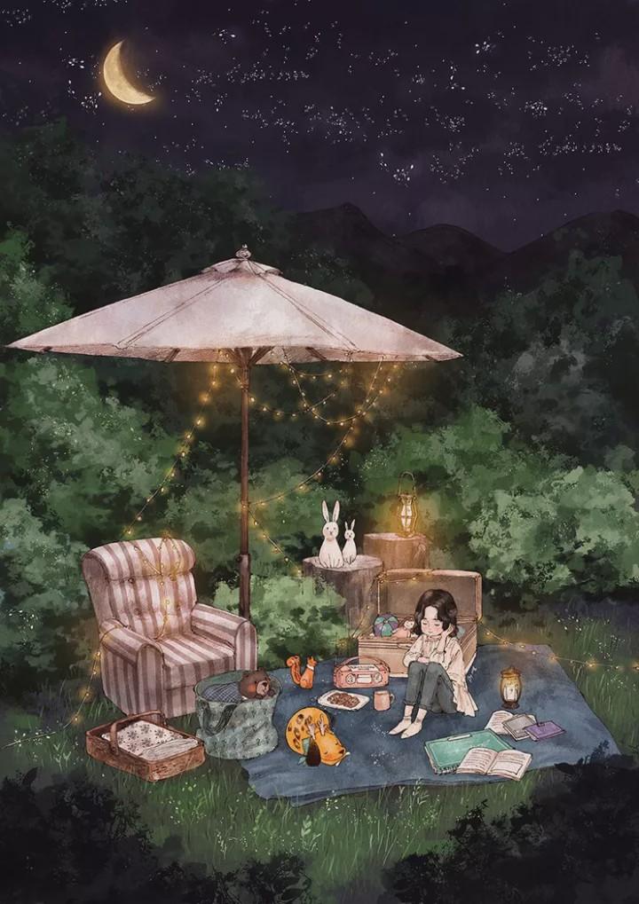 未知的岛屿